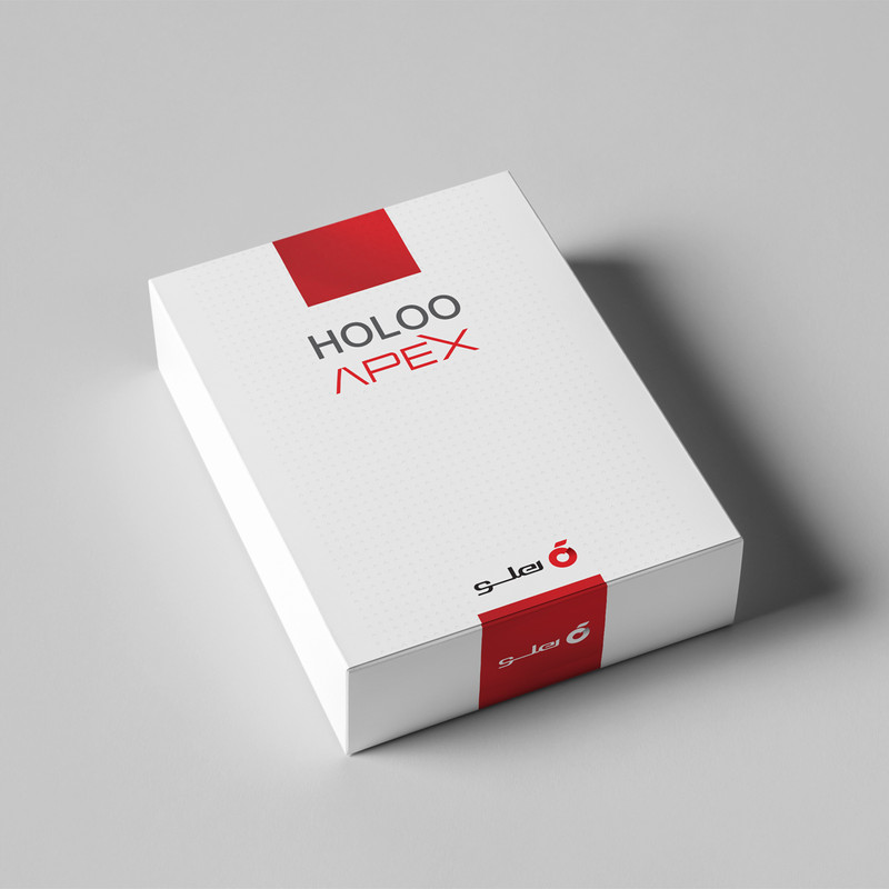 حسابداری هلو نسخه جامع (کد 41) - Image 4